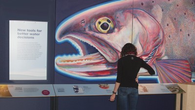 The Decisions Downstream exhibit at the Merrill-Cazier Library.