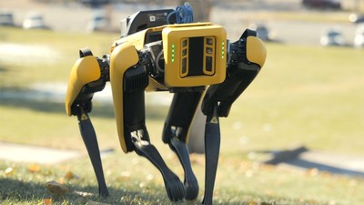 Spot, a four-legged robot designed for sensing, inspection and remote operation.
