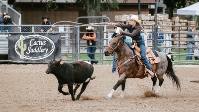 USU Rodeo Club member roping a cow in the arena.