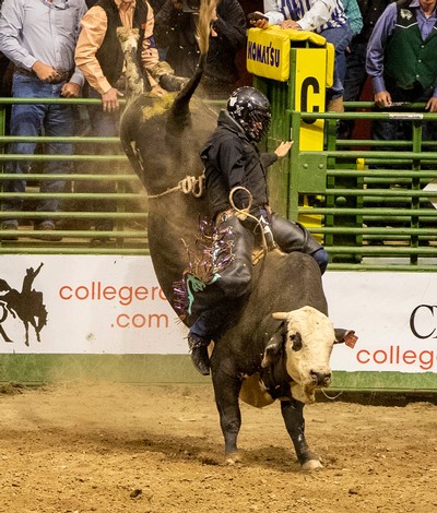 USU Eastern rodeo club member Austin Allred competes.