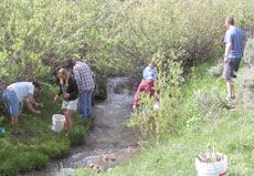 USU students planting willows