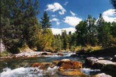 mountain river runoff