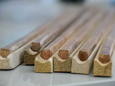 Tree core samples used in the Voelker lab.