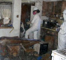 an interior cleanup 