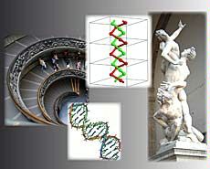 double-helix illustration