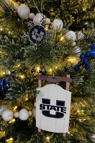 A close up of a Christmas tree decorated with ornaments.