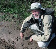 Tracking jaguar movements 