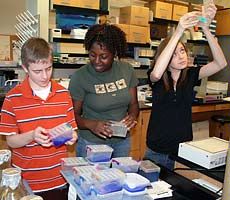 high school students purifying a protein at USU workshop