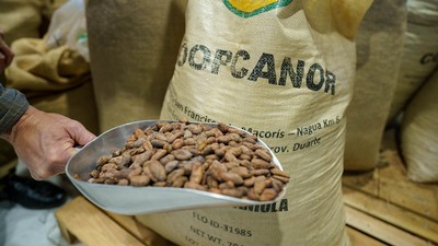 Cacao from Twenty Degrees, a sustainable cocoa bean supplier.