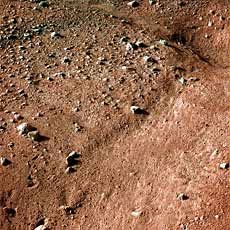 Mars photograph from NASA’s Phoenix Mars Lander