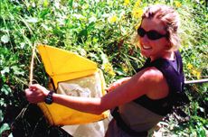 dredging for macroinvertebrates 
