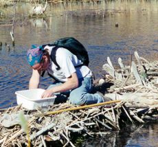conducting water tests
