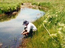 a student taking water samples