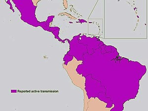 a map of active Zika transmission in the Americas