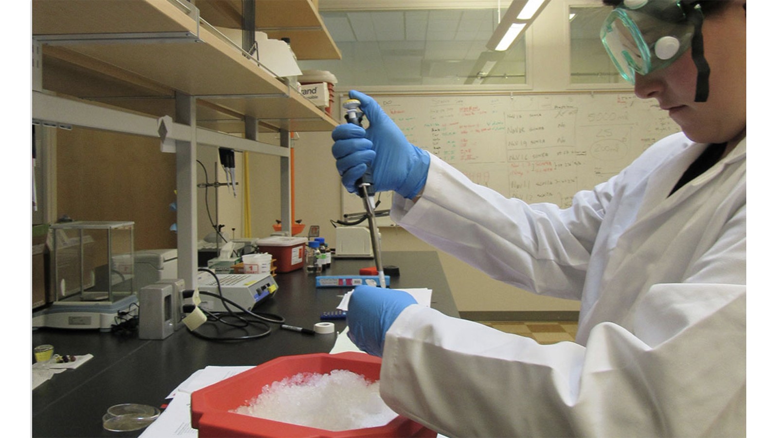 Biology Research