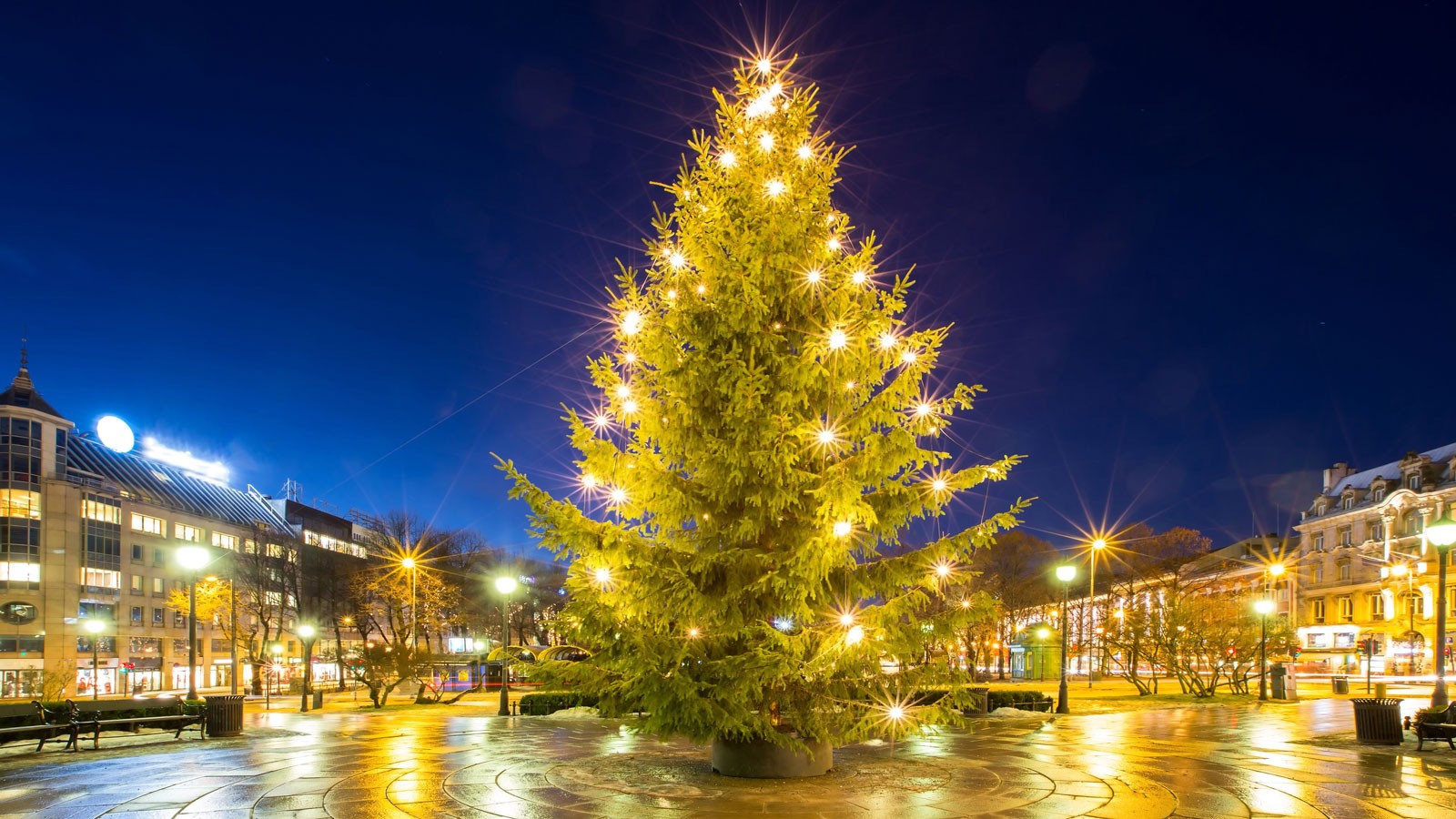 An outdoor Christmas tree with brilliant lights.