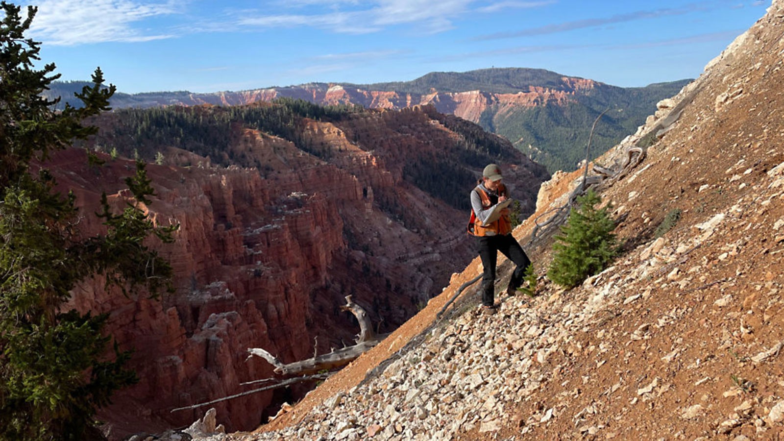 Bella Wetzler stands on the side of a mountain slope.