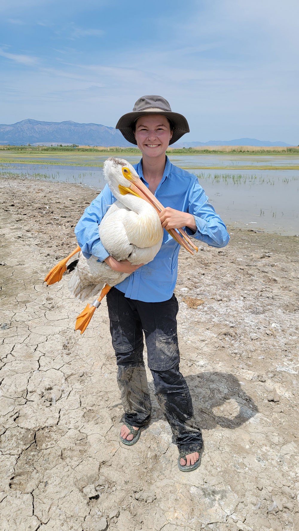 USU Ph.D. student Aimee Van Tatenhove holds a pelican.