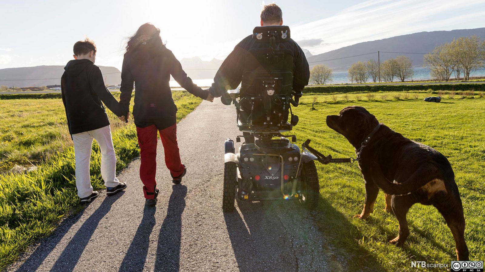 People walking along a paved trail with a dog.