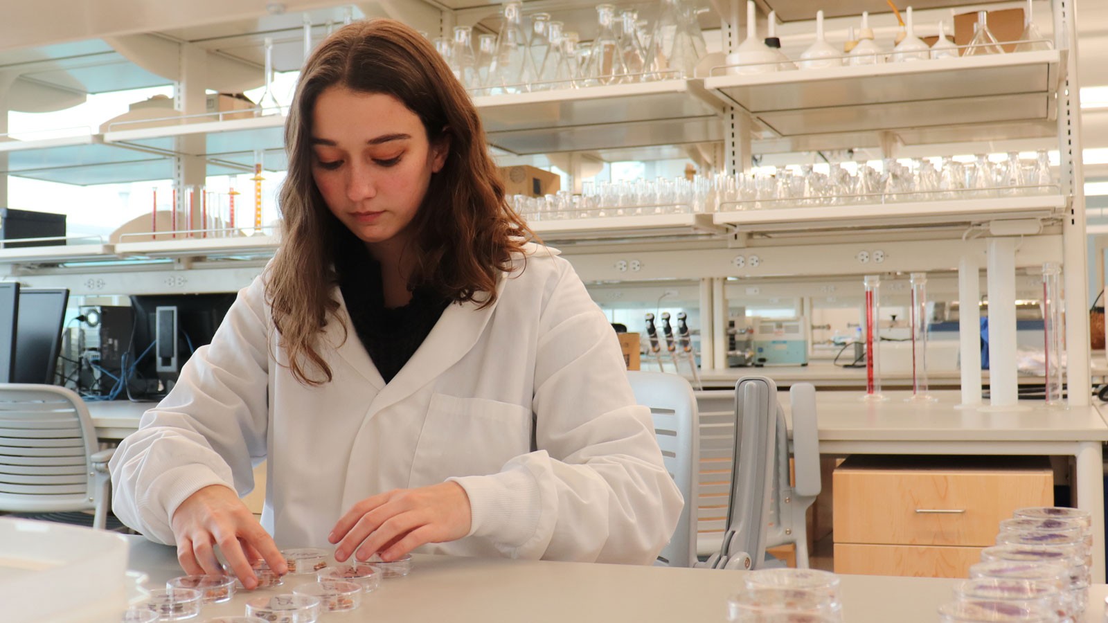 Alexandra Lish adjusts Petri dishes in a lab at USU.