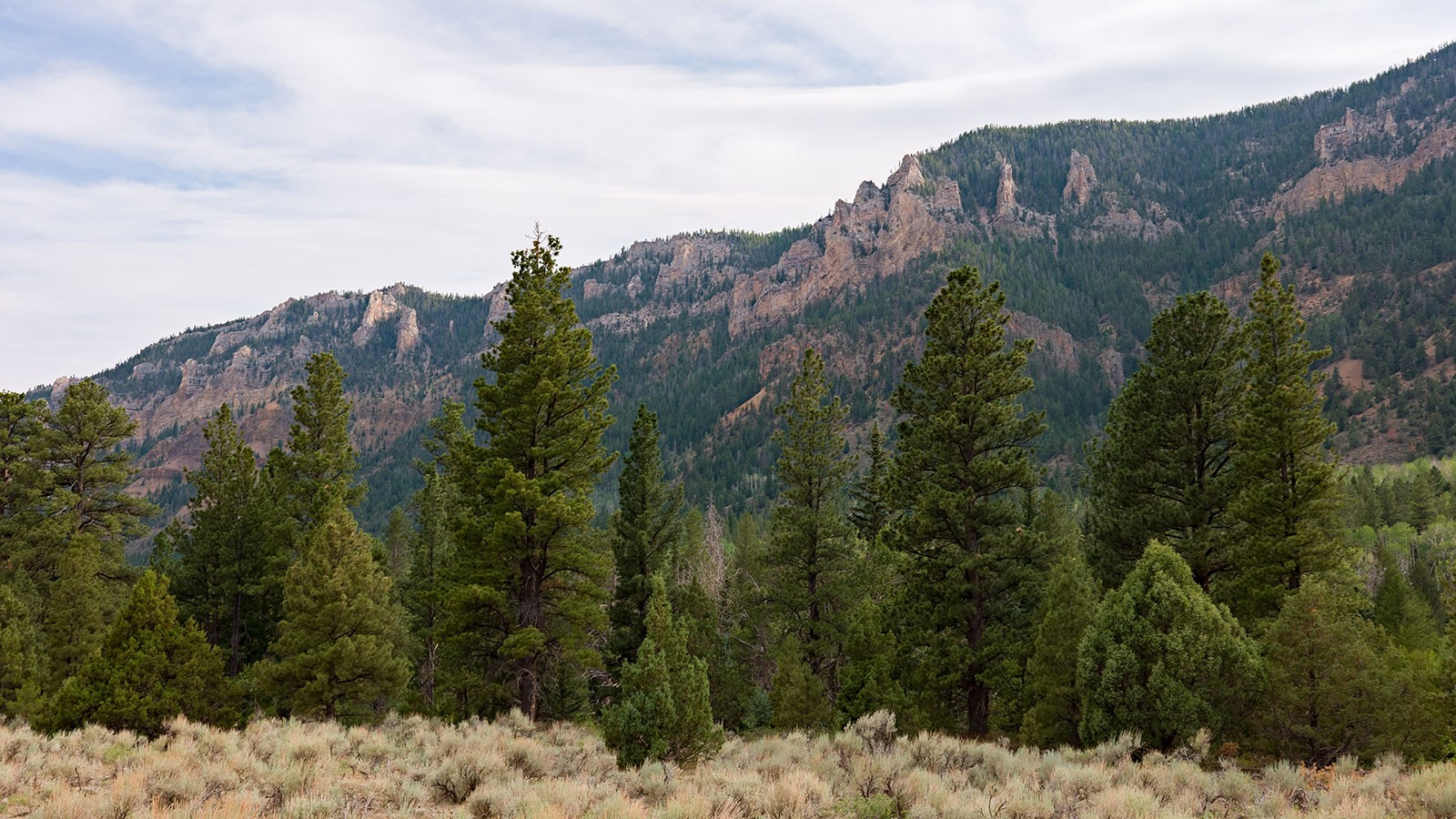 A mountain range.