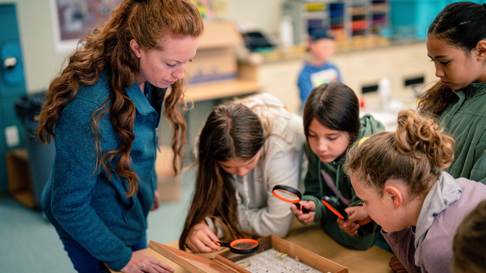 Kids using magnifying glasses to look at preserved insects.