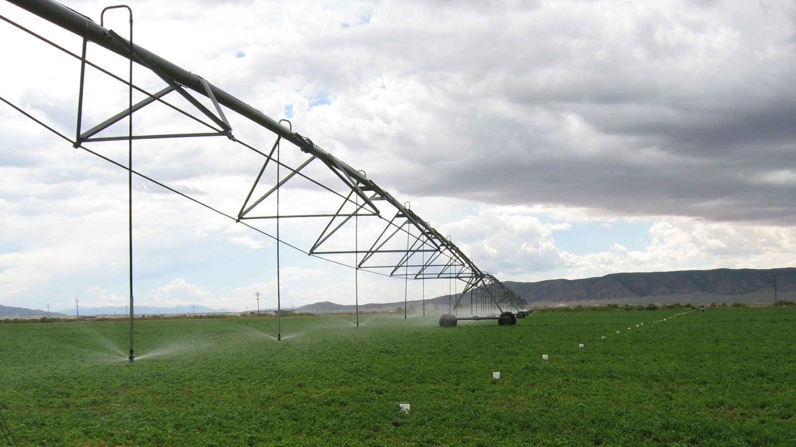 A line of irrigation sprinklers.