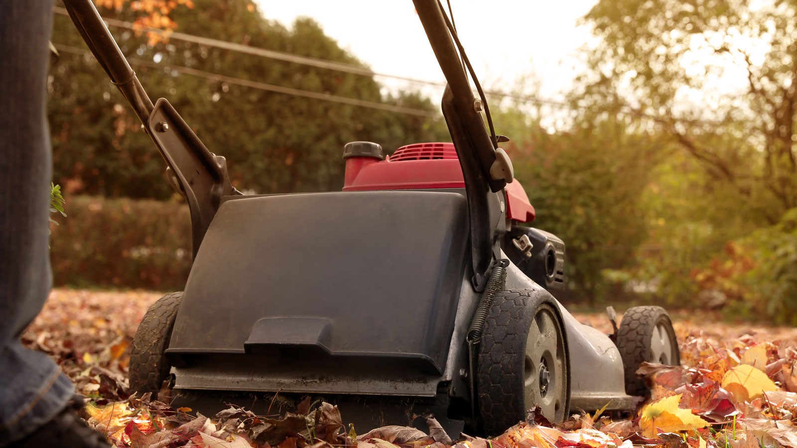 A lawnmower.