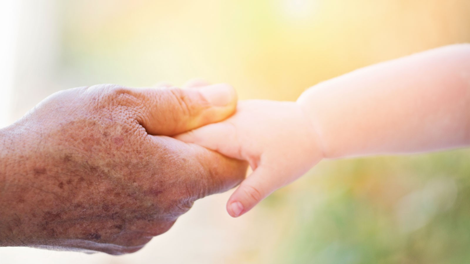 An older person's hand holding an infant's hand.