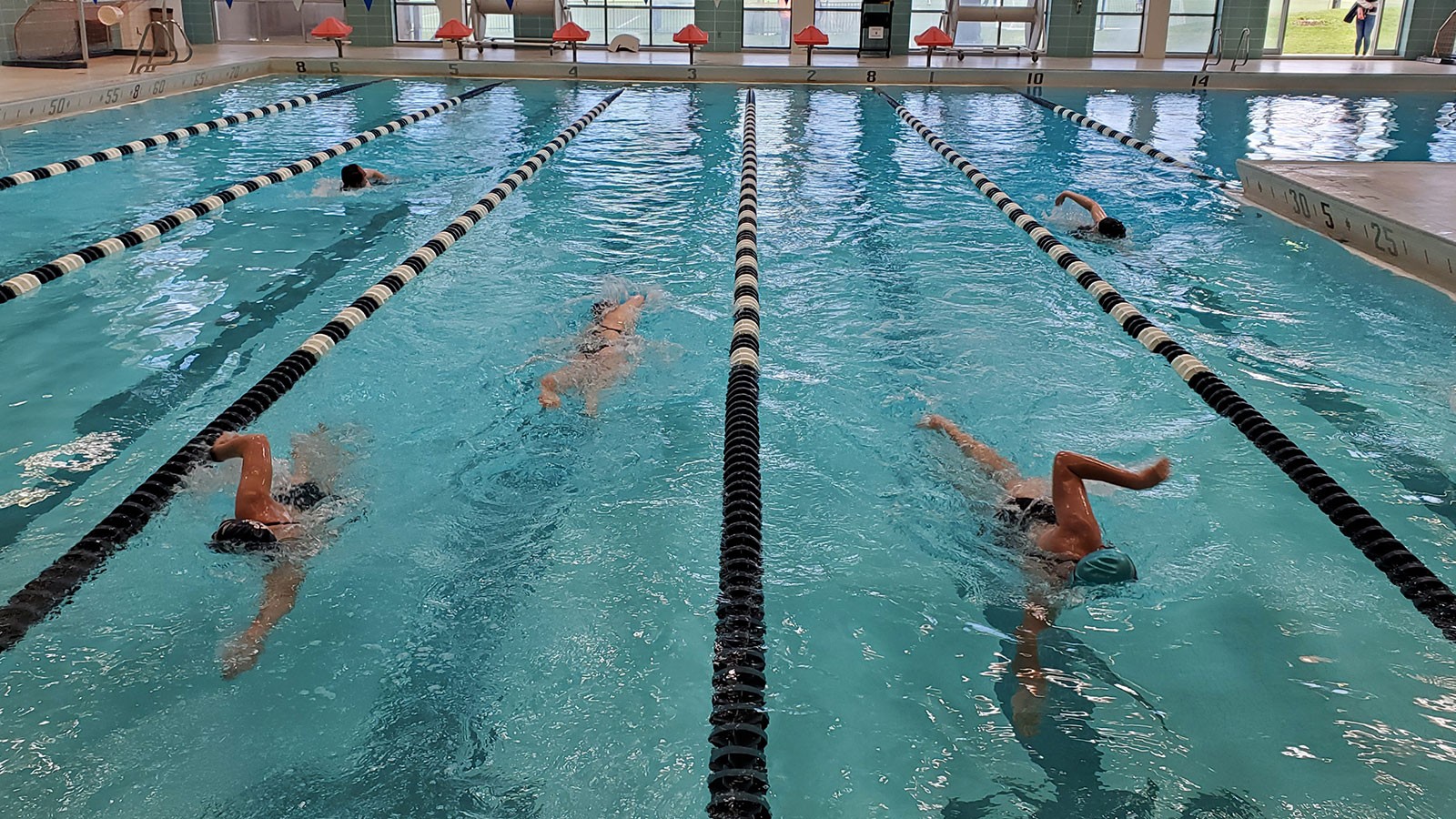 Swimmers in a pool.