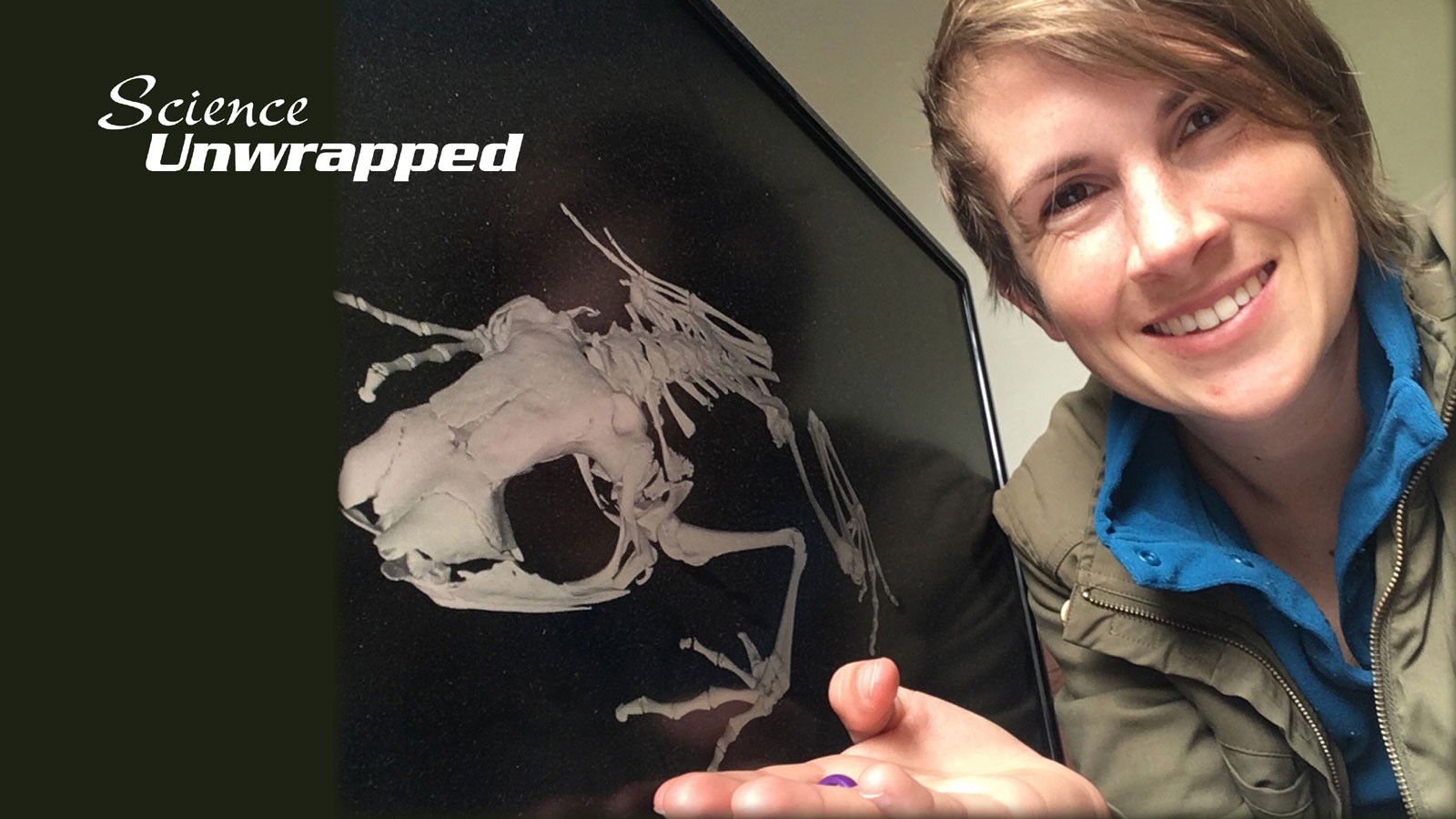 Molly Womack gesturing to a frog skeleton on a computer screen.