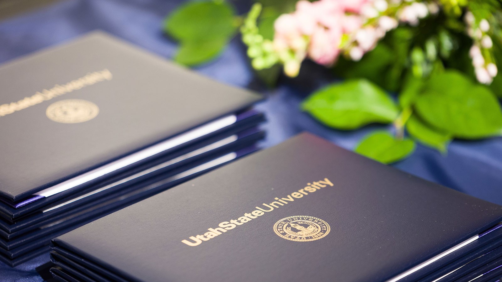 Utah State University diploma covers.