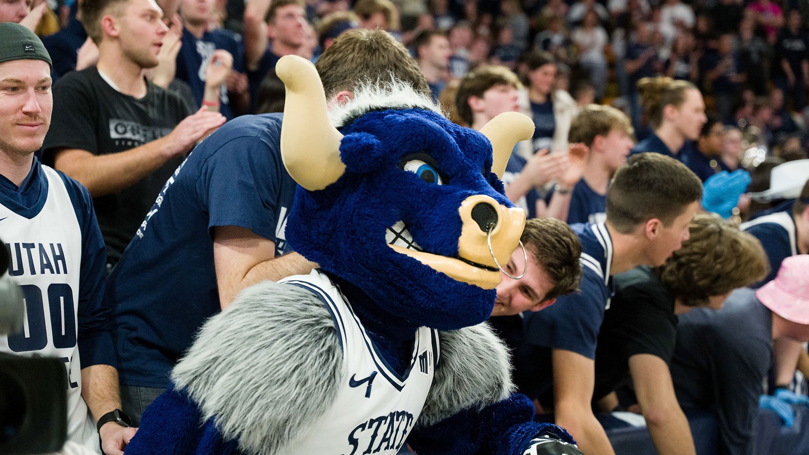 The Utah State mascot Big Blue at a basketball game.