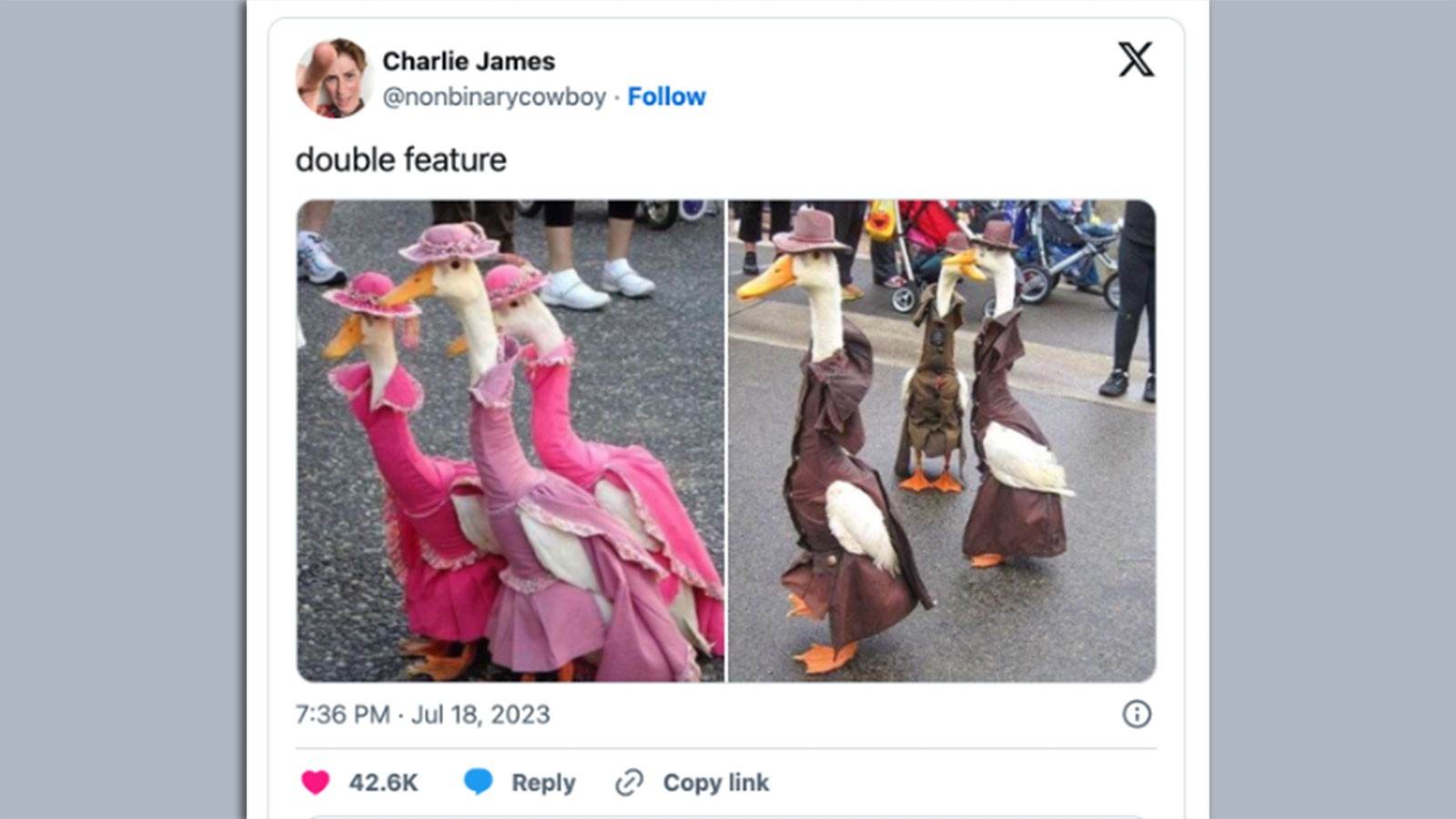Two pictures of geese dressed in pink and geese wearing fedoras. Text reads: double feature.
