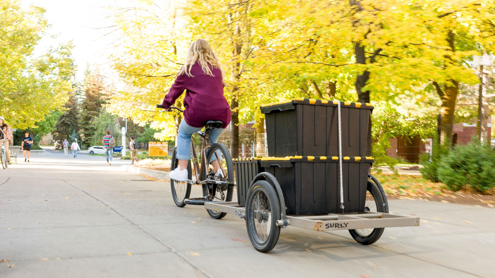A bicyclist pulls a trailer.