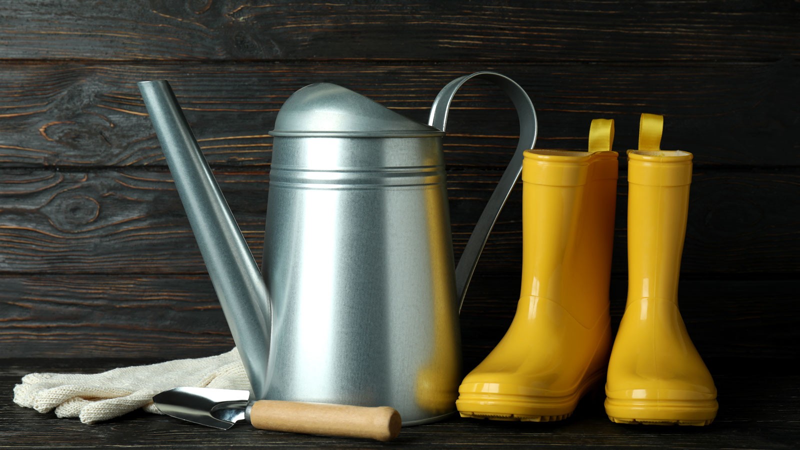 A watering can and rain boots.