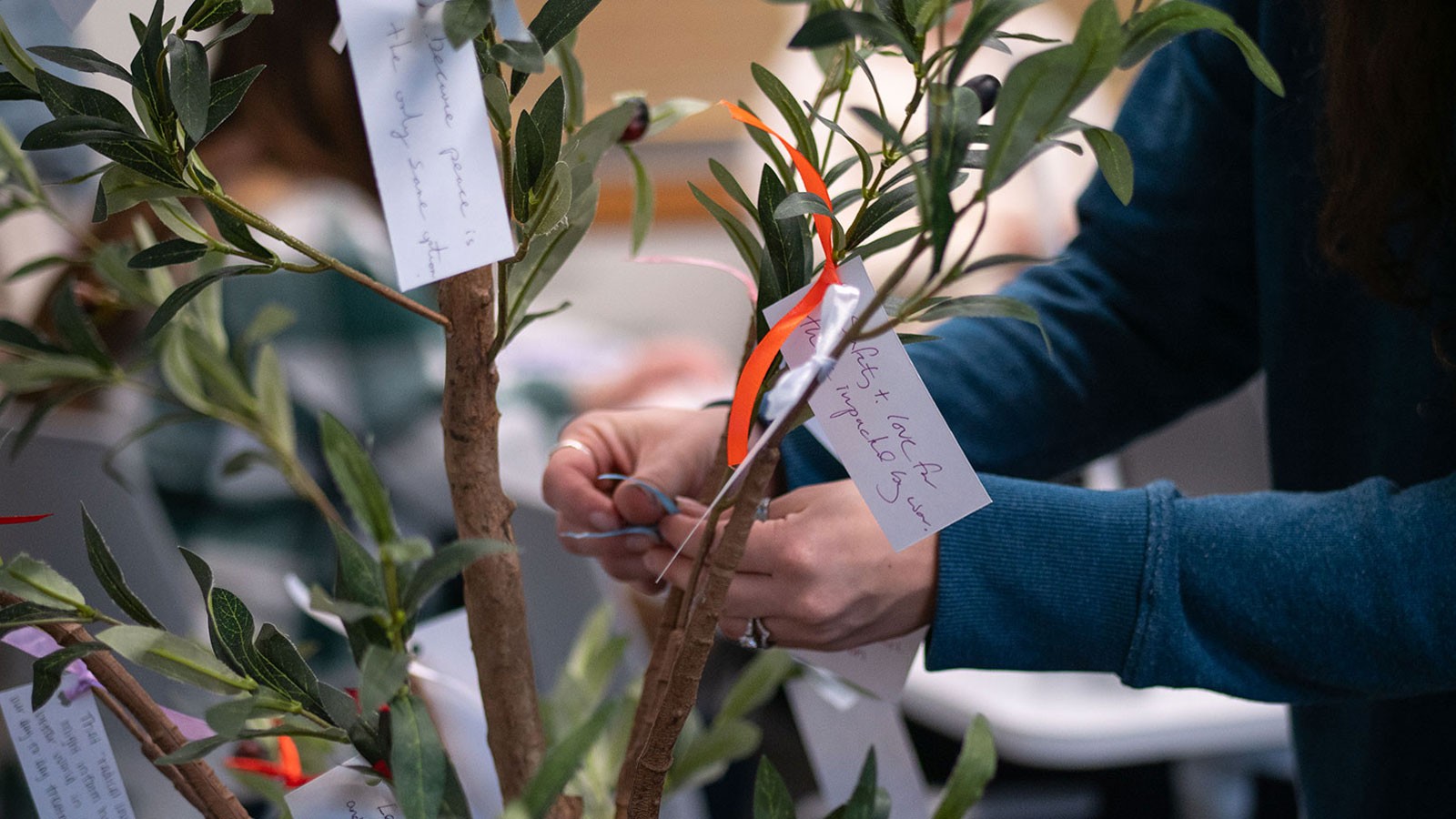 A person tying a scrap of paper on an olive tree.