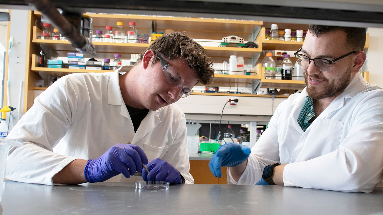 Researchers in lab.