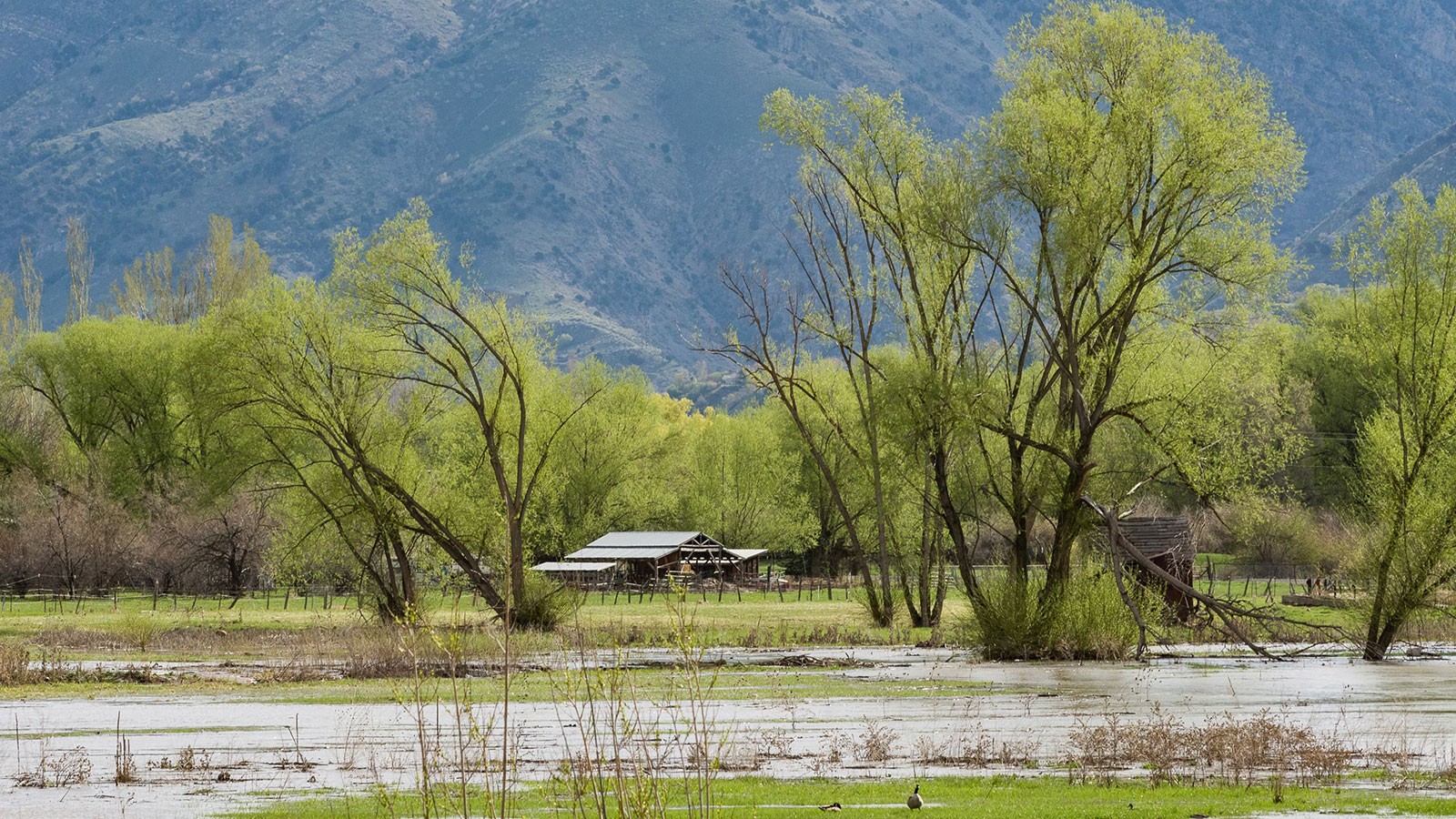 The Logan River.