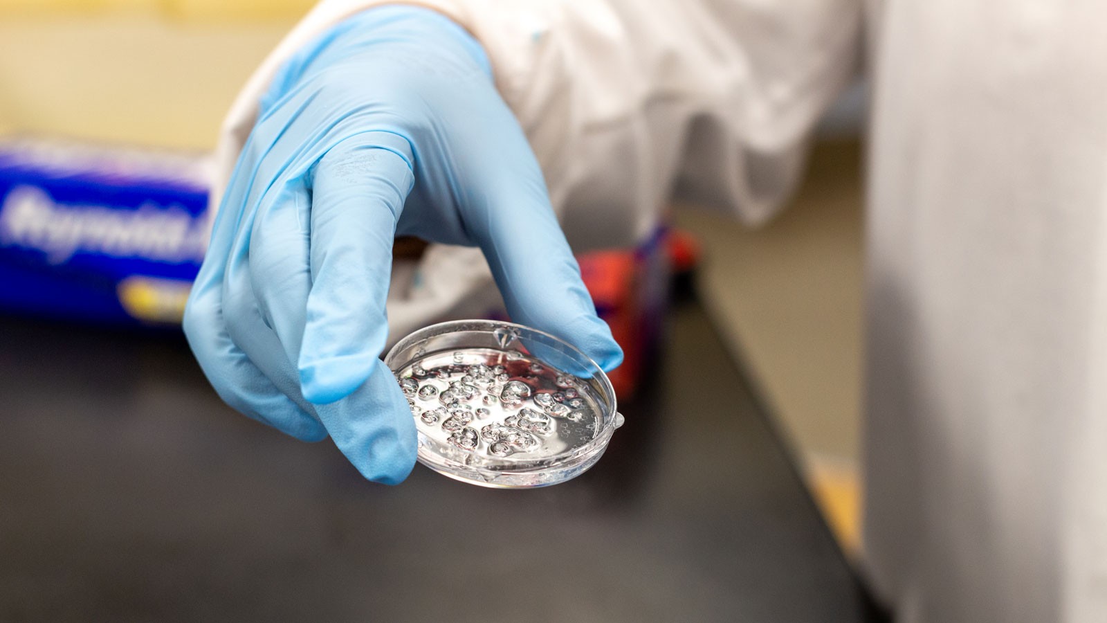 A person holding a petri dish.