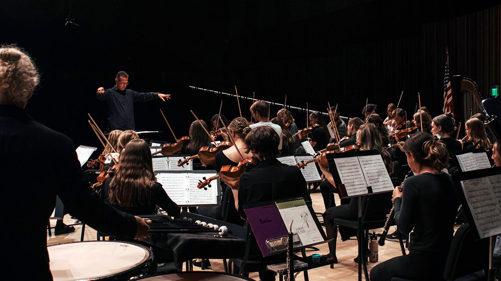 An orchestra.