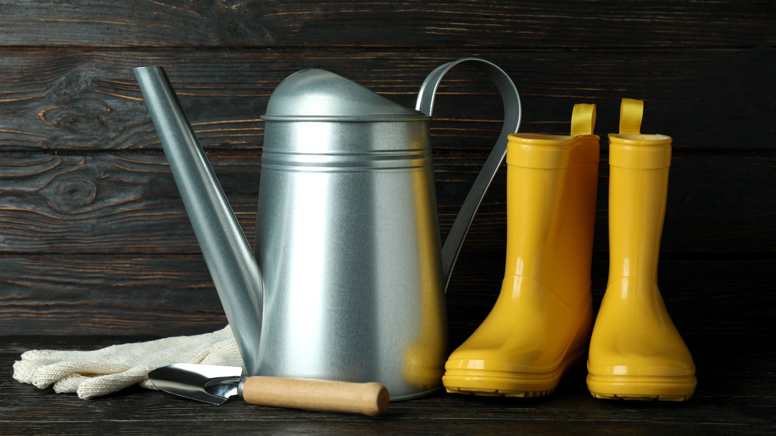 Gardening tools.