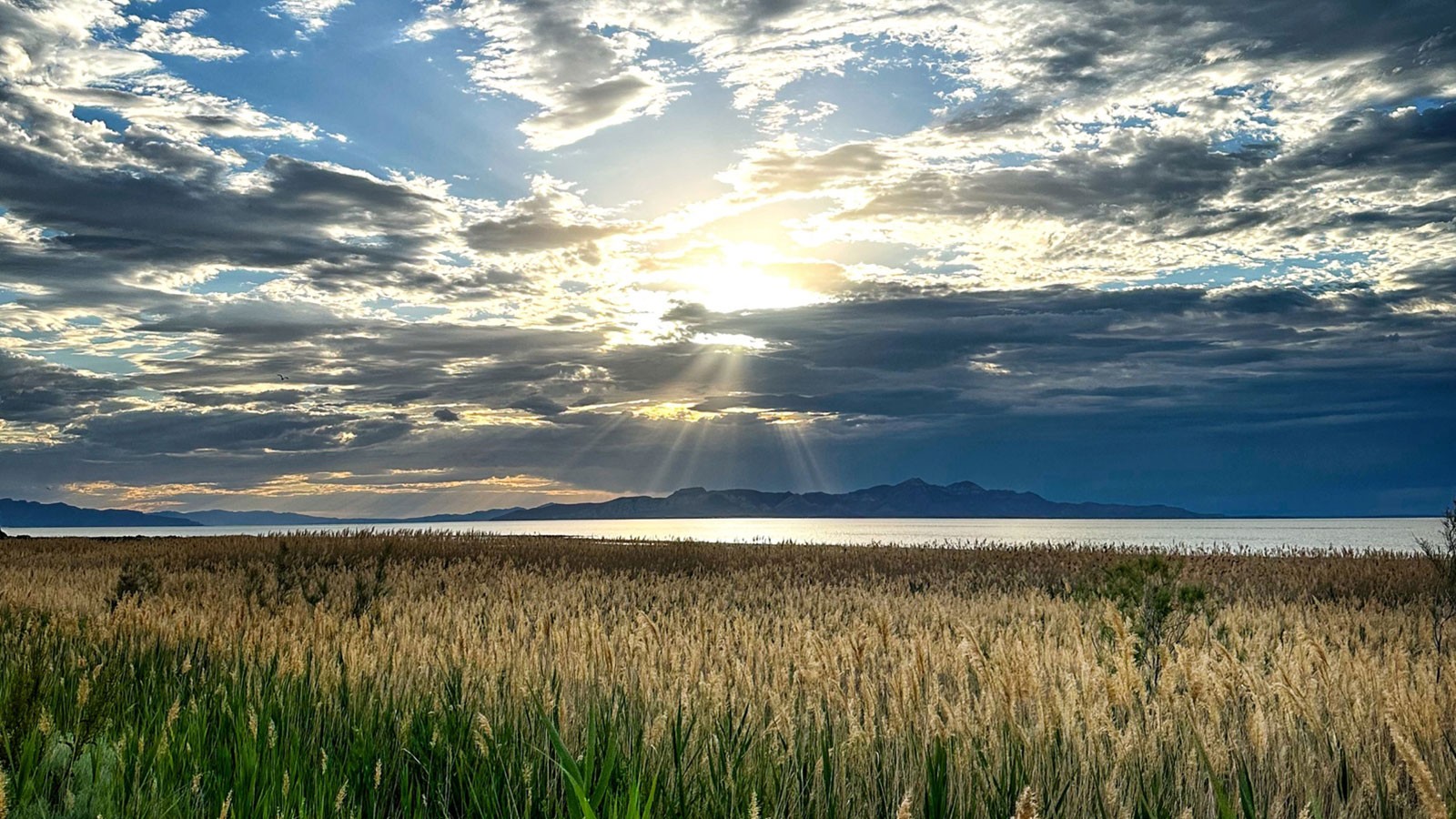 A scenic picture of a sunrise.