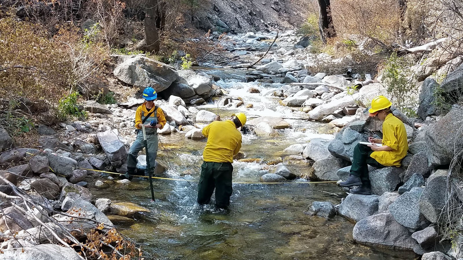 Researchers wading in a stream with scientific instruments.