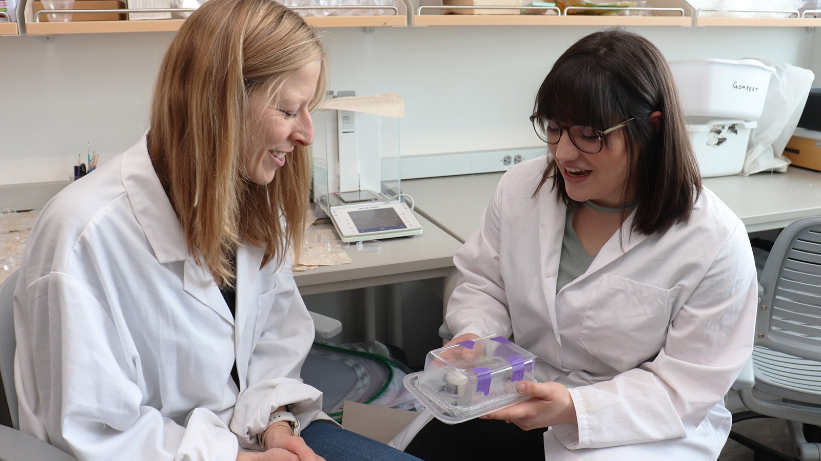USU scientists examine bees in lab