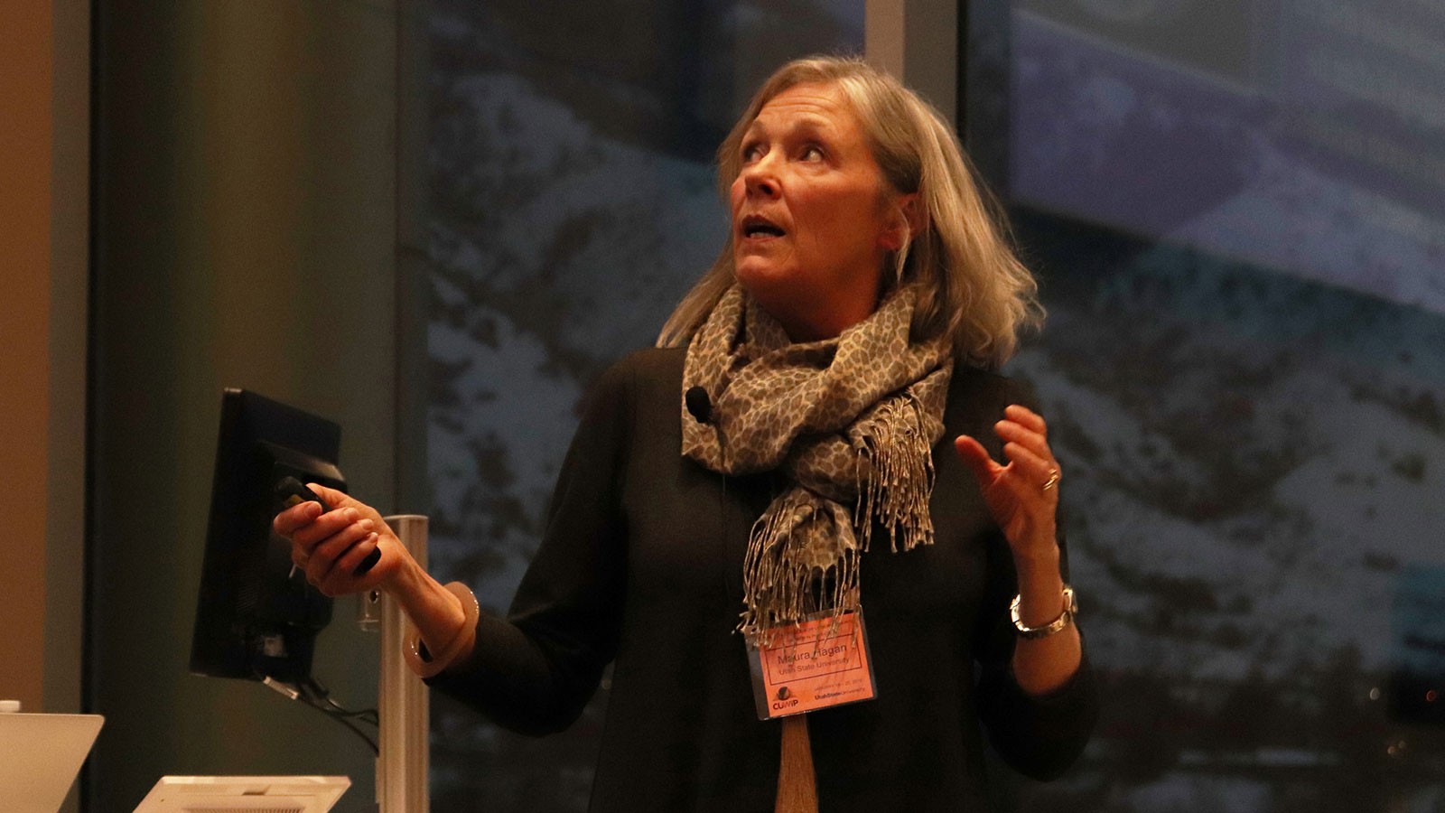 USU physicist Maura Hagan