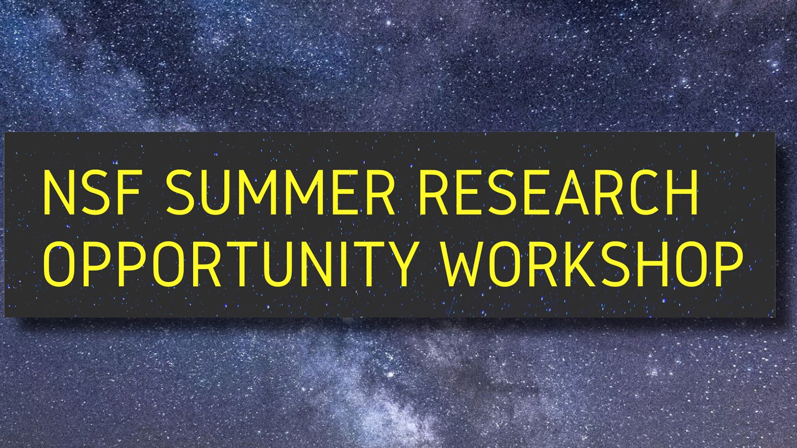 NSF Summer Research Workshop