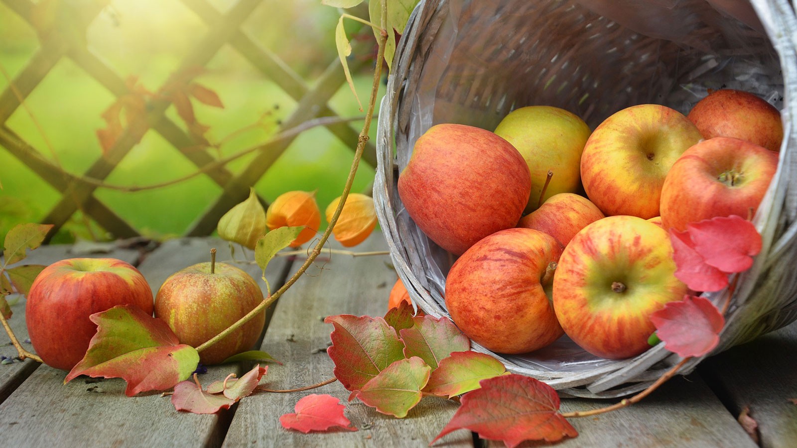 basket of apples