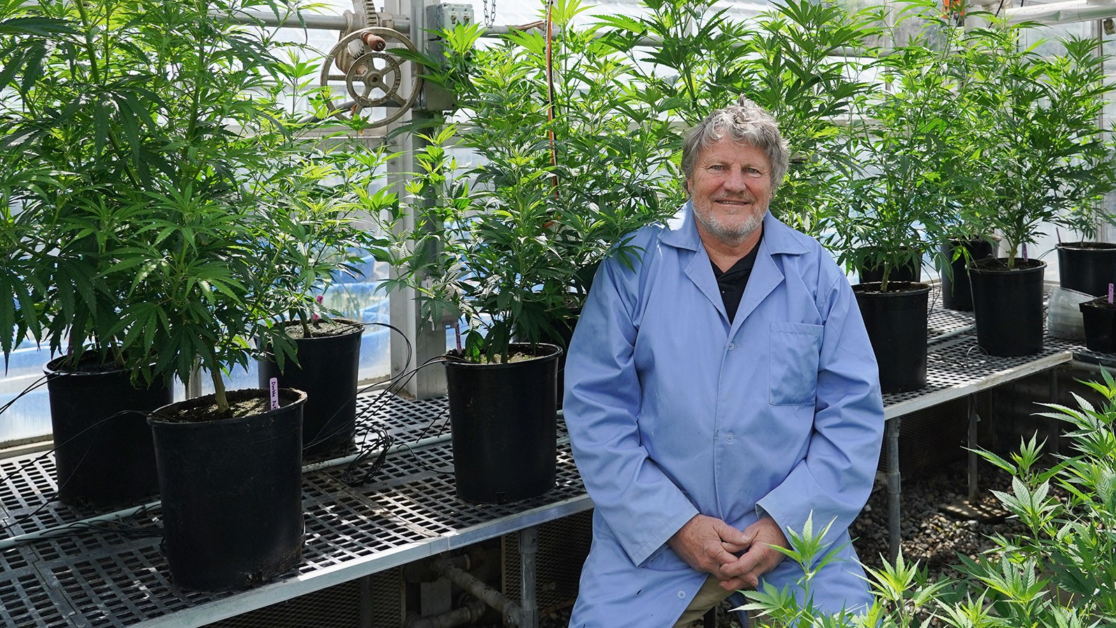 Bruce Bugbee in his plant lab.