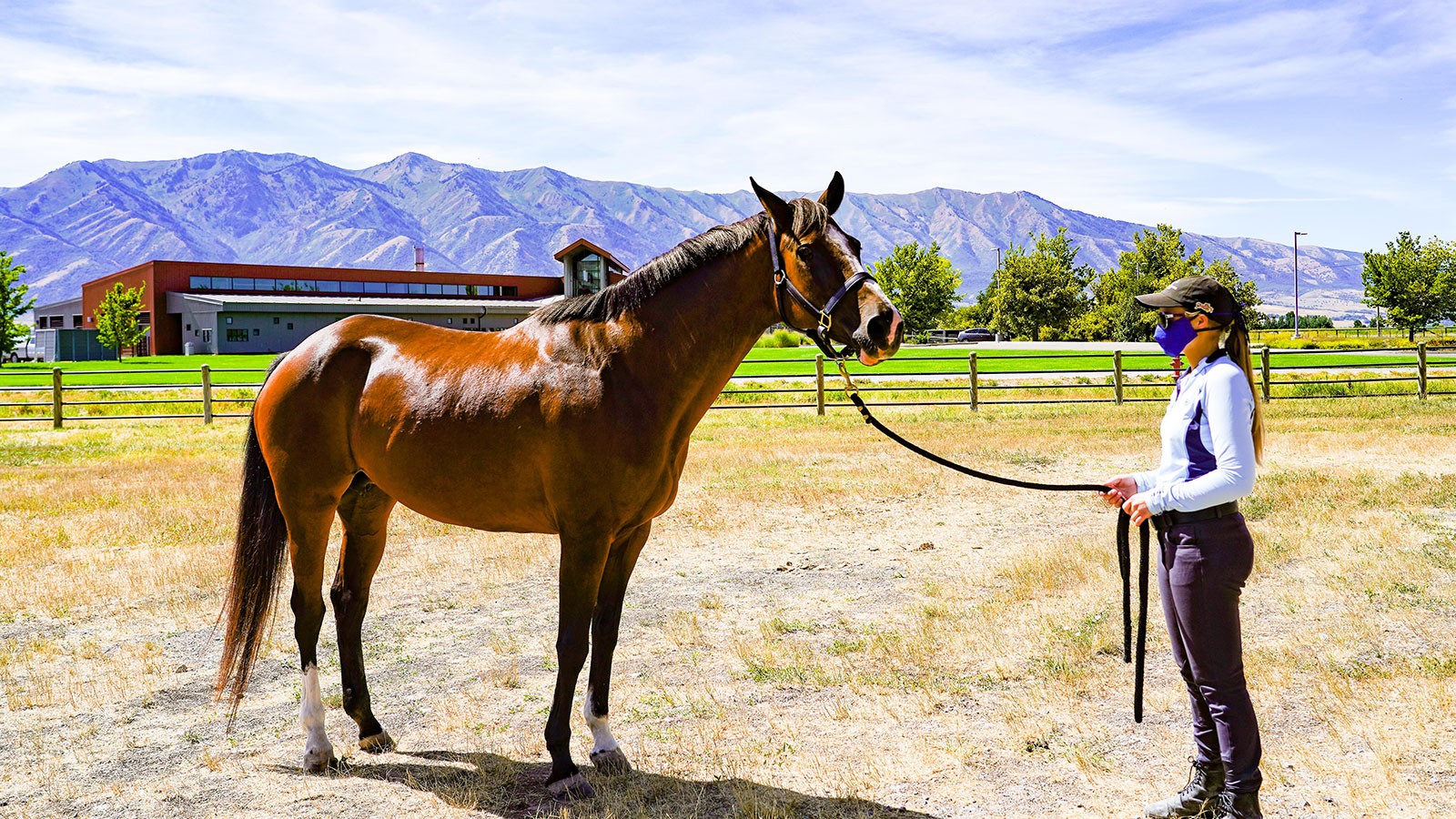 Celine, shown here with USU student Sarah Anderson at the USU Equine Center.